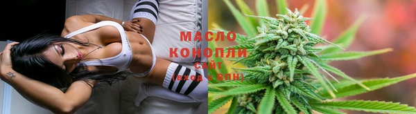 mdpv Богородицк