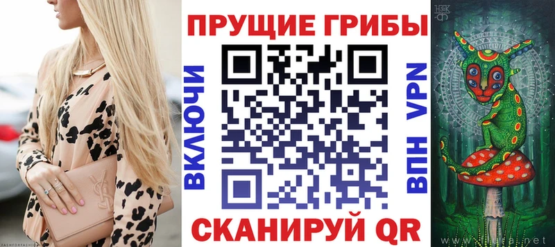 Галлюциногенные грибы Psilocybe  Купить  Гудермес 