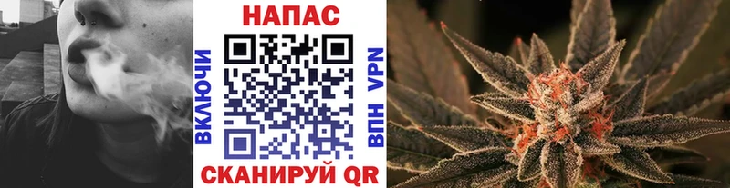 Шишки марихуана семена Гудермес